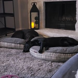 Meet your Posher, Priscilla